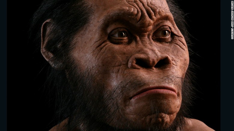 Reconstruction of Homo naledi by John Anthony Gurche.